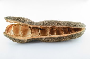 Afzelia Xylocarpa Craib tohumlar