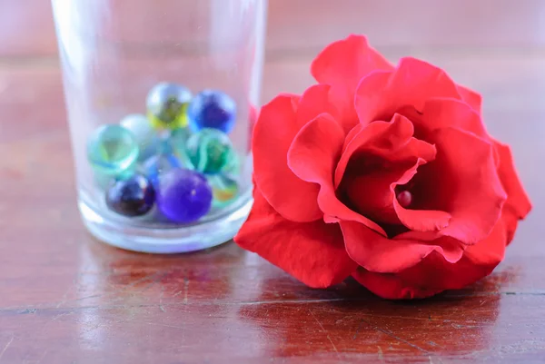 Red rose — Stock Photo, Image