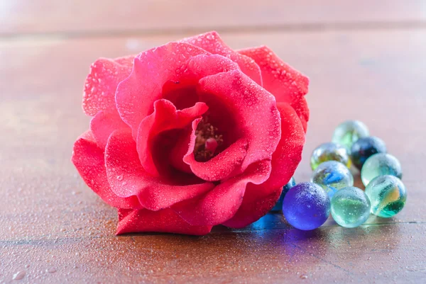 Capullo de rosa roja con gotas de agua — Foto de Stock