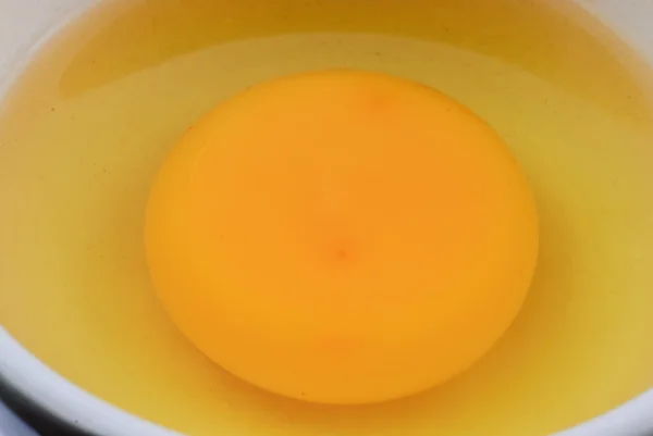 เปลือกไข่แตกด้วยไข่แดงและโปรตีน — ภาพถ่ายสต็อก