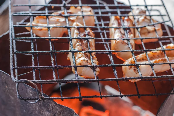 Churrasco de lula fresca — Fotografia de Stock