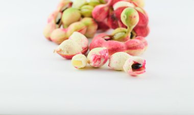 Manila demirhindi meyve