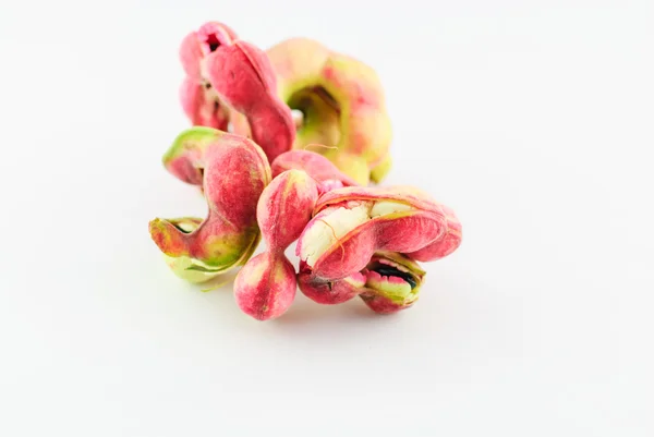Fruta de tamarindo de Manila — Fotografia de Stock