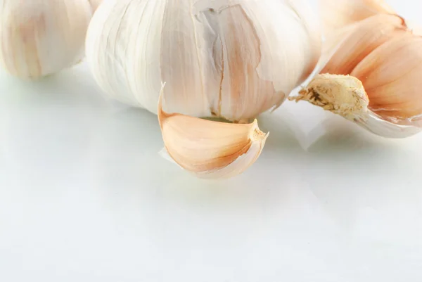 Closeup česnek, samostatný — Stock fotografie