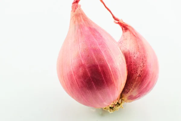 Red onion — Stock Photo, Image