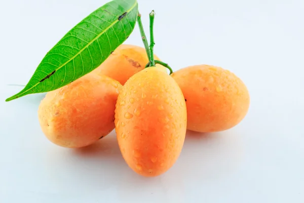 Plum Mango — Stockfoto