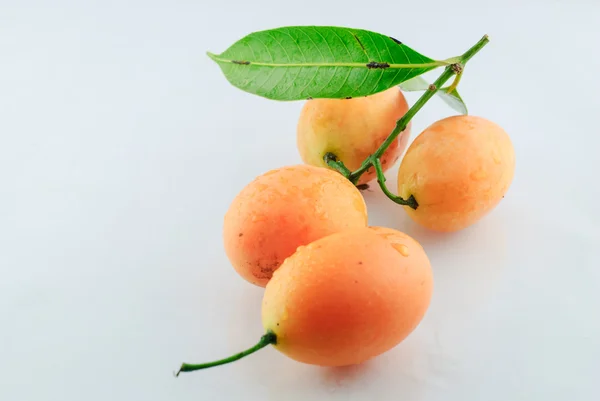 Plum Mango — Stockfoto