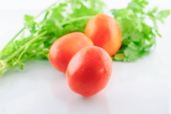 Tomates frescos maduros — Foto de Stock