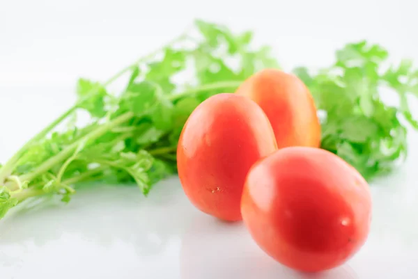 Fresh Ripe Tomatoes — Stock Photo, Image