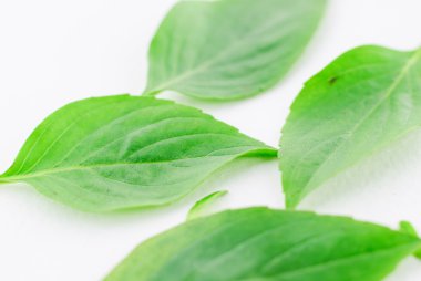 Fesleğen izole bırakır