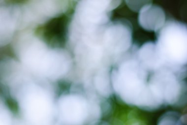 doğa bokeh