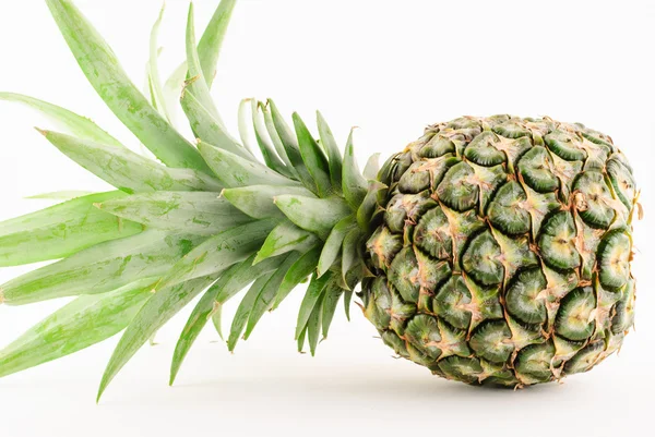 Ananas close-up geïsoleerd — Stockfoto