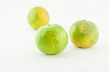  yalıtılmış turuncu