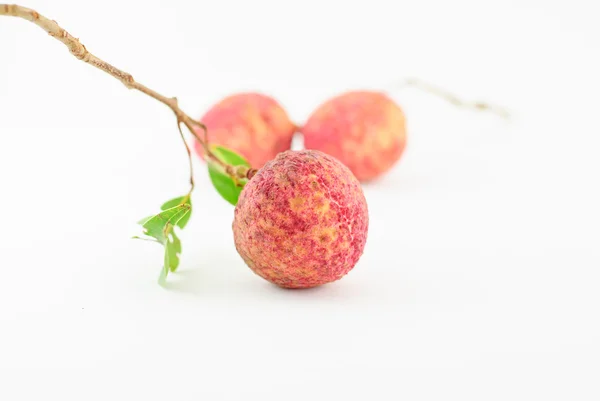 Rote Litschi-Frucht isoliert — Stockfoto