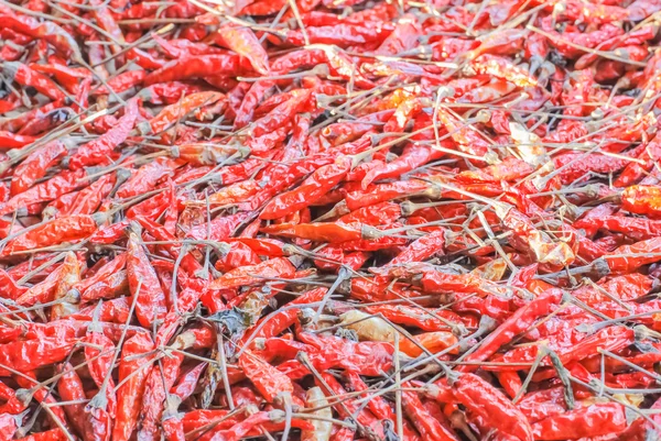 Kurutulmuş chilies — Stok fotoğraf