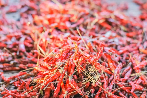 Kurutulmuş chilies — Stok fotoğraf