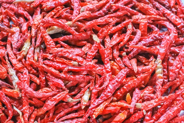 Kurutulmuş chilies — Stok fotoğraf