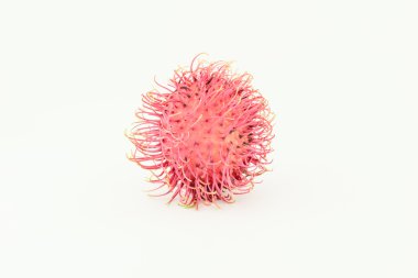  rambutan izole 