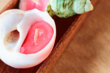 mum el yapımı kabukları