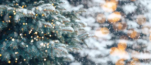 Karácsonyfa Dekoráció Nélkül Szabadtéri Parkban Bokeh Gyönyörű Kék Lucfenyő Esik — Stock Fotó