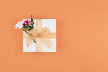 İki dianthus güzel bir hediyeye yerleştiriliyor. Kurdeleyle bağlanmış, kutuda güzel bir fiyonk, turuncu bir arka planda bir hediye..