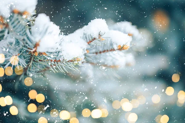 Neve Branca Está Nos Ramos Uma Árvore Natal Foto Para — Fotografia de Stock
