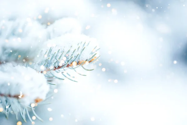 Neve Branca Está Nos Ramos Uma Árvore Natal Foto Para — Fotografia de Stock