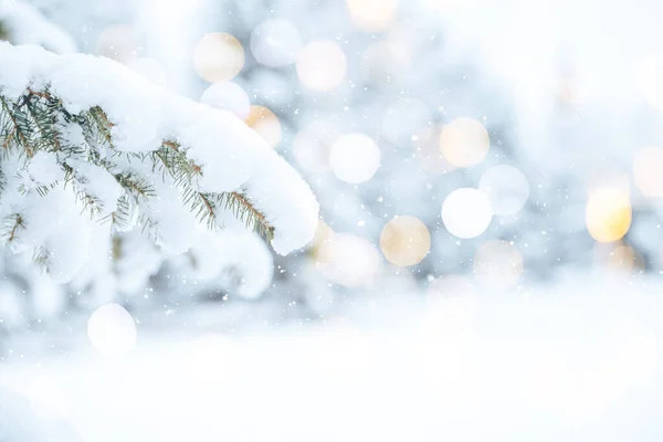 Neve Branca Está Nos Ramos Uma Árvore Natal Foto Para — Fotografia de Stock