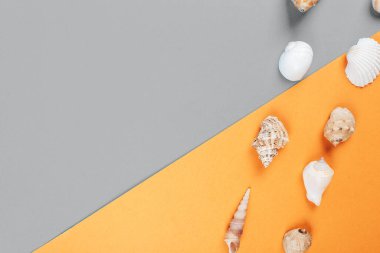 2021 yılında sarı ve gri arkaplanda renksiz kabuklar aydınlatma yılı.