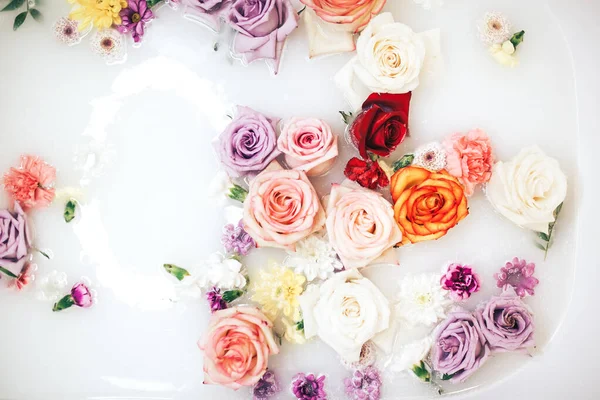 Banhos Bem Estar Cheios Leite Botões Rosas Multi Coloridas Flutuam — Fotografia de Stock