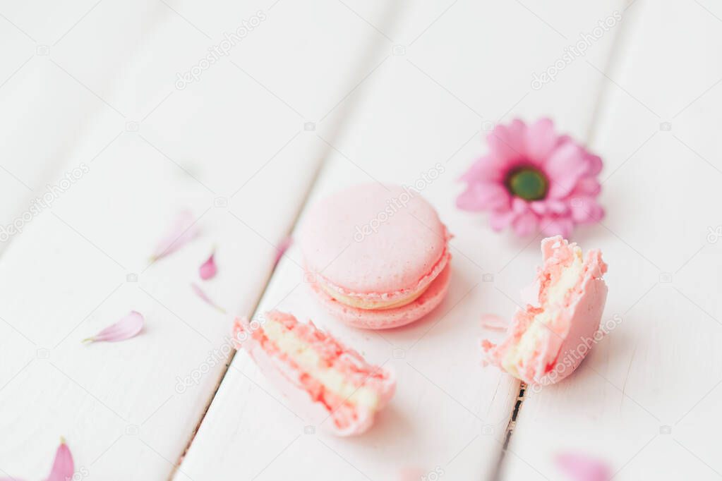 Beautiful flower and macaroon of pink color against a white background. One whole macaroon and another broken one. Gift to a loved one.