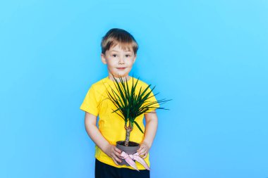 Çocuk saksıyı ev bitkisiyle birlikte tutuyor. 8 Mart ve Anneler Günü için canlı çiçek hediyesi..