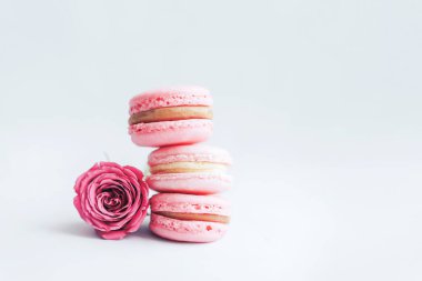 Güzel bir çiçek ve badem kurabiyesi pembe bir zeminde beyaz bir zemine karşı dururlar. Sevdiğine hediye et..