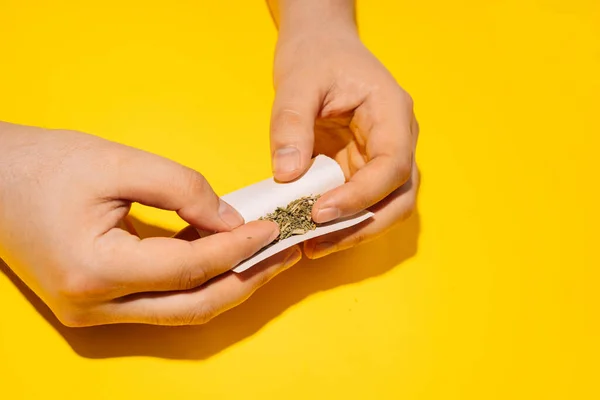 Man Rolling Dry Herbal Merokok Marijuana Pada Latar Belakang Kuning — Stok Foto