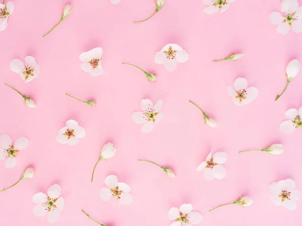 Hermoso patrón de flores blancas sobre fondo rosa. concepto de primavera, fondo de primavera —  Fotos de Stock
