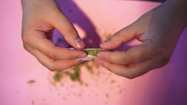 Männliche Hände wickeln Cannabis vor rosa Hintergrund in Papier ein — Stockvideo