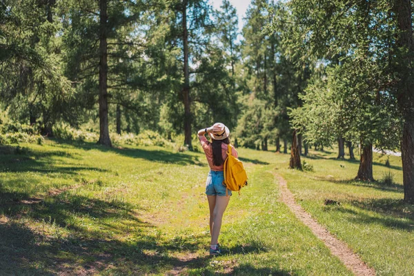 Turist Kız Kozalaklı Ormana Bakıyor — Stok fotoğraf