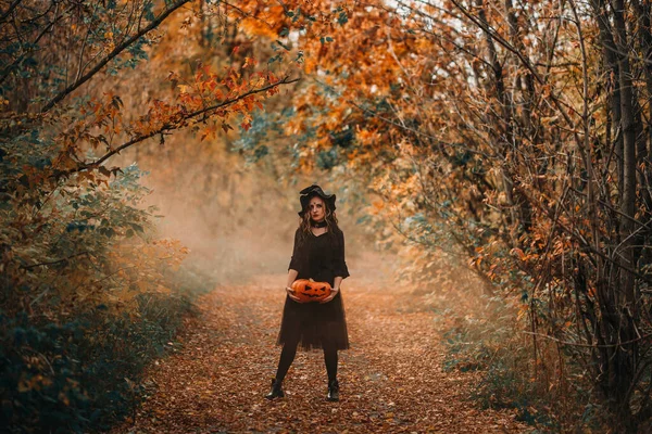 Дороге Лесу Девушка Одетая Ведьма Тыквой — стоковое фото