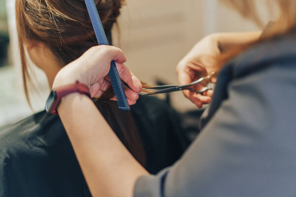 hairdresser cut the client hair in salon.