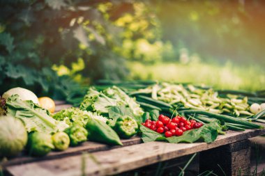 Taze toplanmış sebzeler ve böğürtlenler ahşap palette yatıyor..