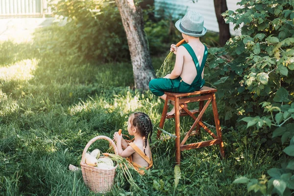 Niño Niña Mono Comiendo Zanahorias Junto Cesta Verduras — Foto de Stock