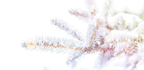 Árbol Navidad Fondo Aire Libre Con Nieve Luces Bokeh Alrededor —  Fotos de Stock