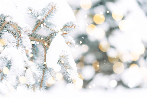 Karácsonyfa Háttér Kültéri Fények Bokeh Körül Alá Karácsonyi Hangulat — Stock Fotó
