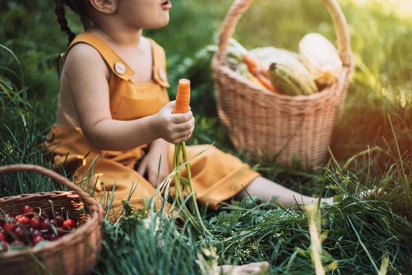 穿着黄色工作服的女孩在一篮子蔬菜旁边吃胡萝卜 — 图库照片
