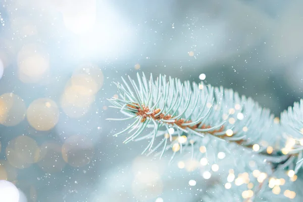 Feche Foto Fundo Azul Árvore Natal Livre Com Luzes Bokeh — Fotografia de Stock