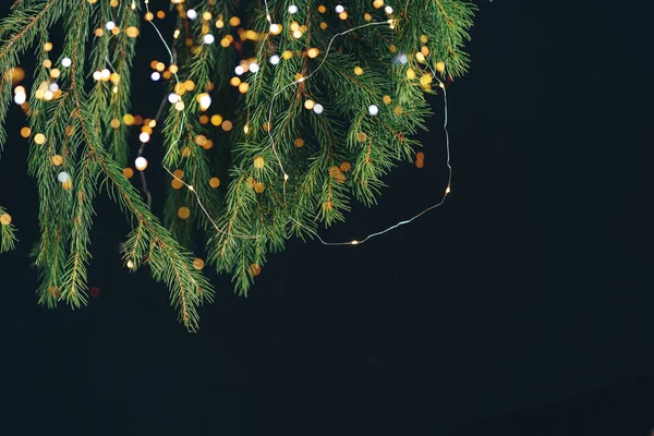 圣诞树分枝 花环在黑色背景的前面 — 图库照片