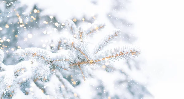 Christmas Tree Background Outdoor Snow Lights Bokeh Snow Falling Christmas — Stock Photo, Image