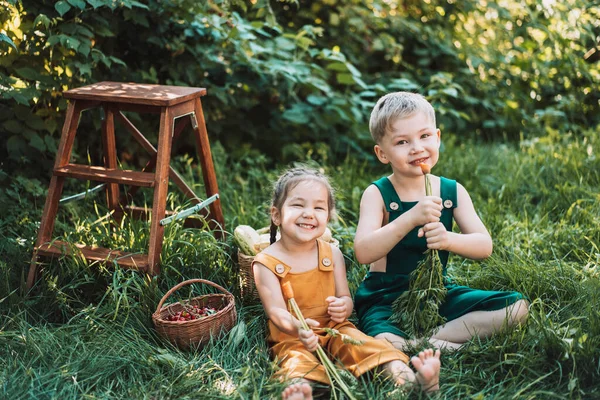 Мальчик Девочка Комбинезоне Едят Морковь Рядом Корзиной Овощей — стоковое фото