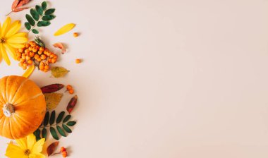 Kuru yaprakları ve viburyumu olan güzel balkabakları..