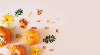 Kuru yaprakları ve viburyumu olan güzel balkabakları..